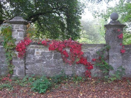 Parkmauer im Herbst